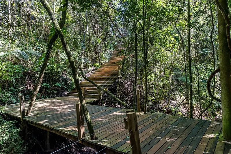 NINHO VERDE II ECO RESIDENCE